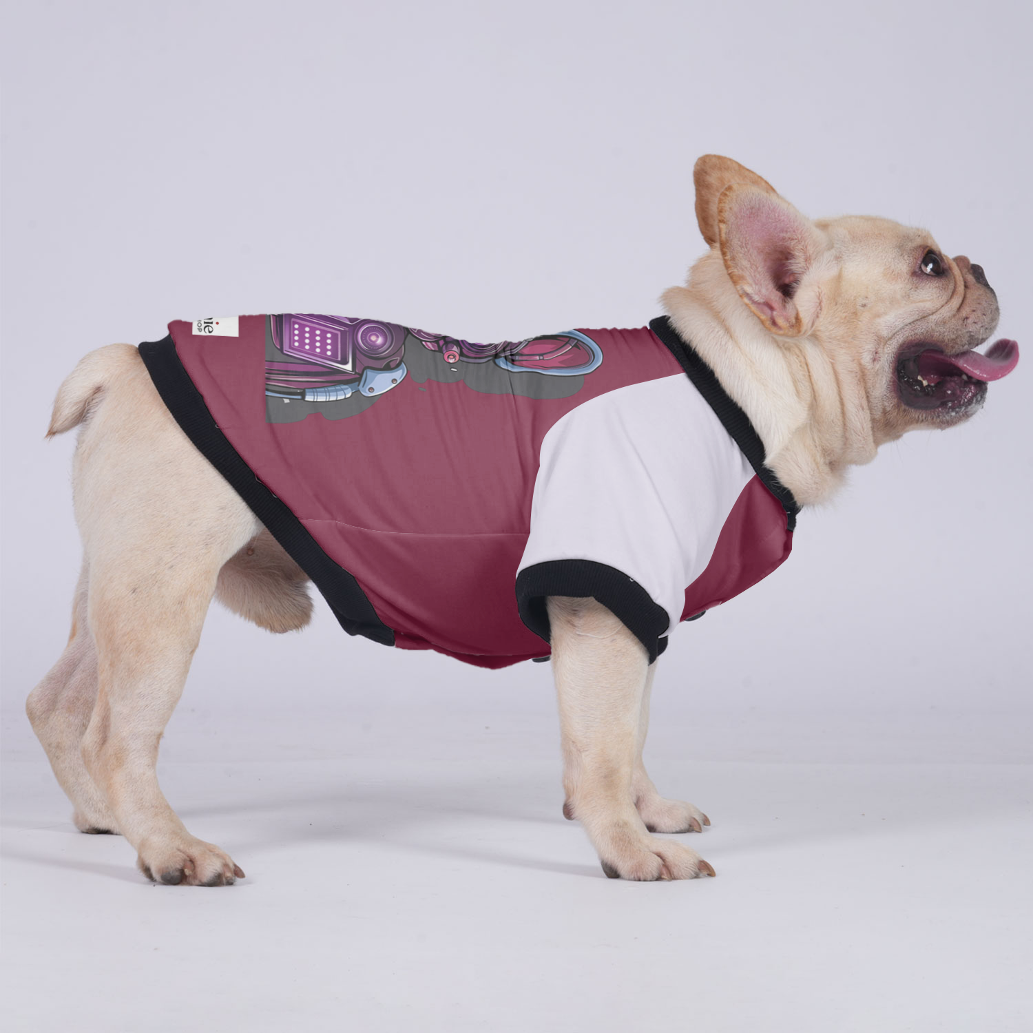 Lily - Premium Jacket For French Bulldog For French Bulldogs