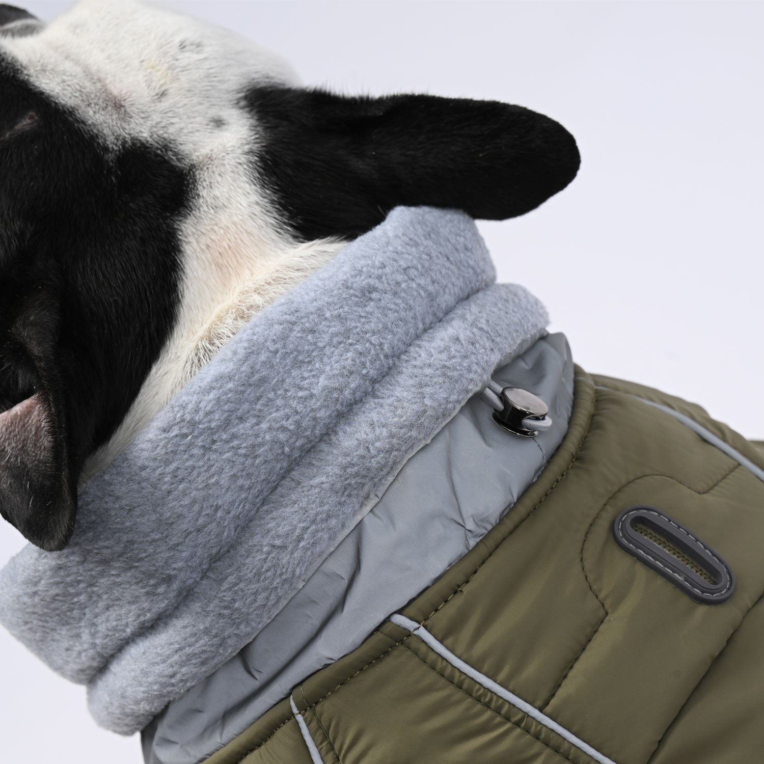 French Bulldog Chillelite Frenchie Luxury Winter Jacket Warm Dog Outfit