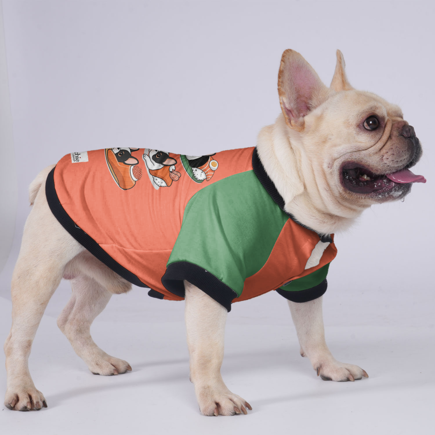 - Frenchie Jacket For French Bulldog For French Bulldogs | Comfort Fit