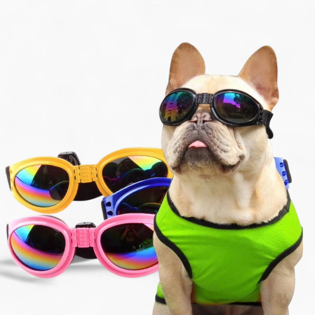 waterproof Goggles for Frenchies (WS04)