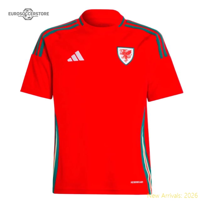 Personalised Wales Football Shirts Children 2024 Home Jersey Match Day Essential