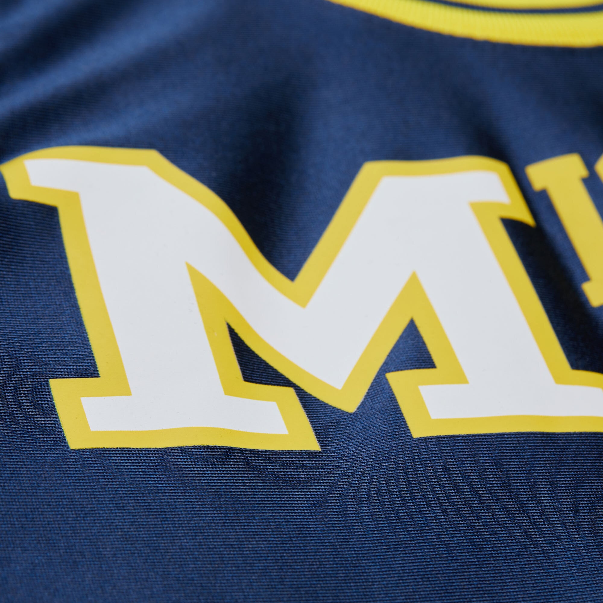 Glen Rice Michigan Wolverines Mitchell & Ness 1988/89 Jersey - Navy