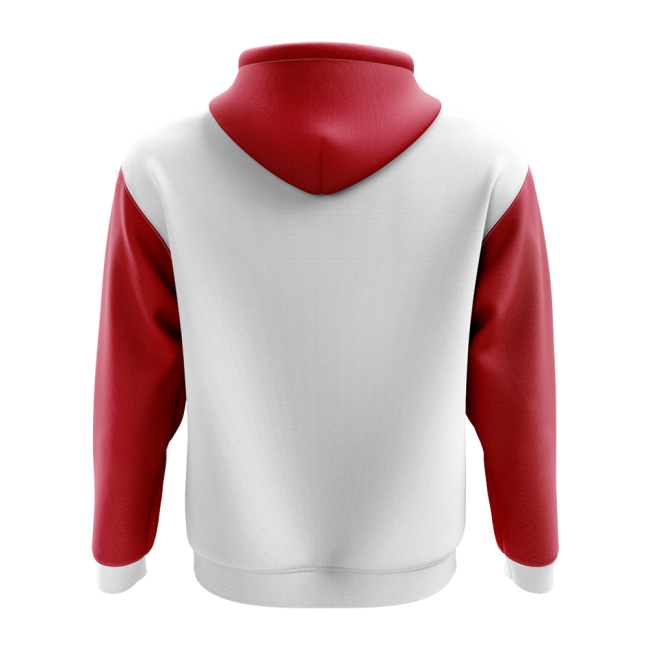 Premium Jersey Concept Country Football Hoody (White) Professional