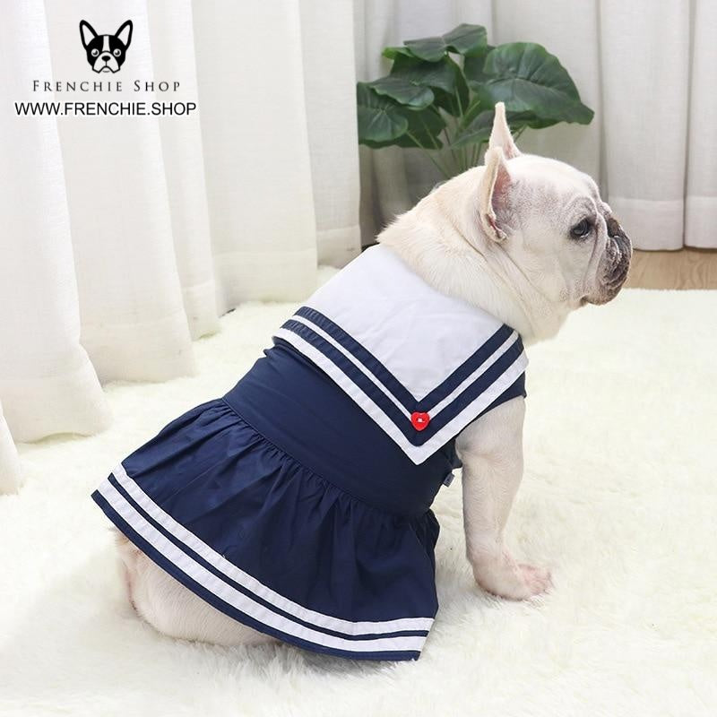 Queen Skirt Frenchie Summer Dress (w314) Dog Supplies | Vet-recommended