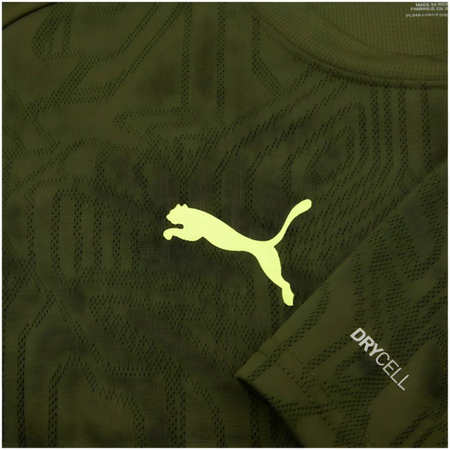 2024-2025 Borussia Dortmund Training Shirt (Myrtle)