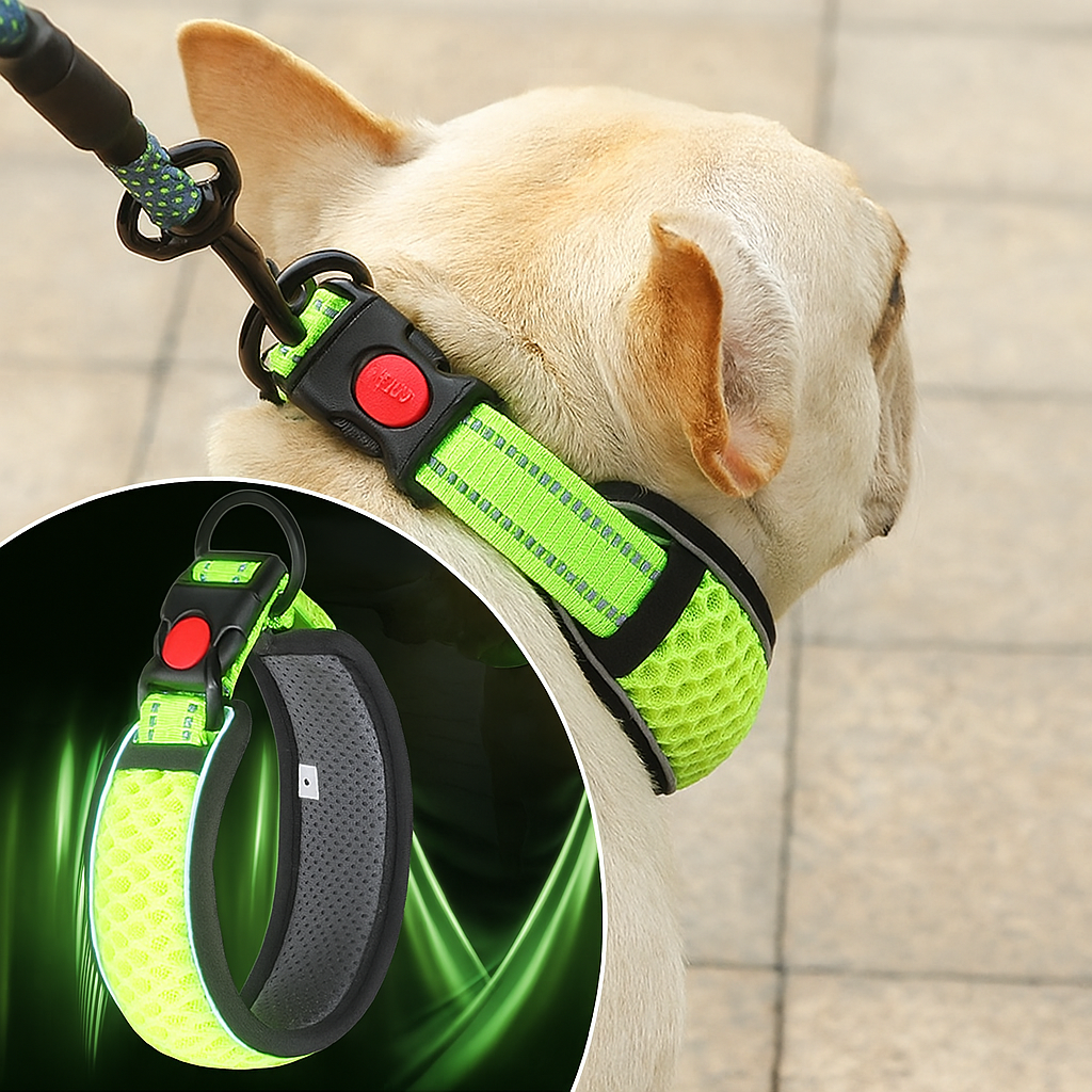 Soft Hexafur Frenchie Reflective Collar – Night Safety Adjustable Hon...