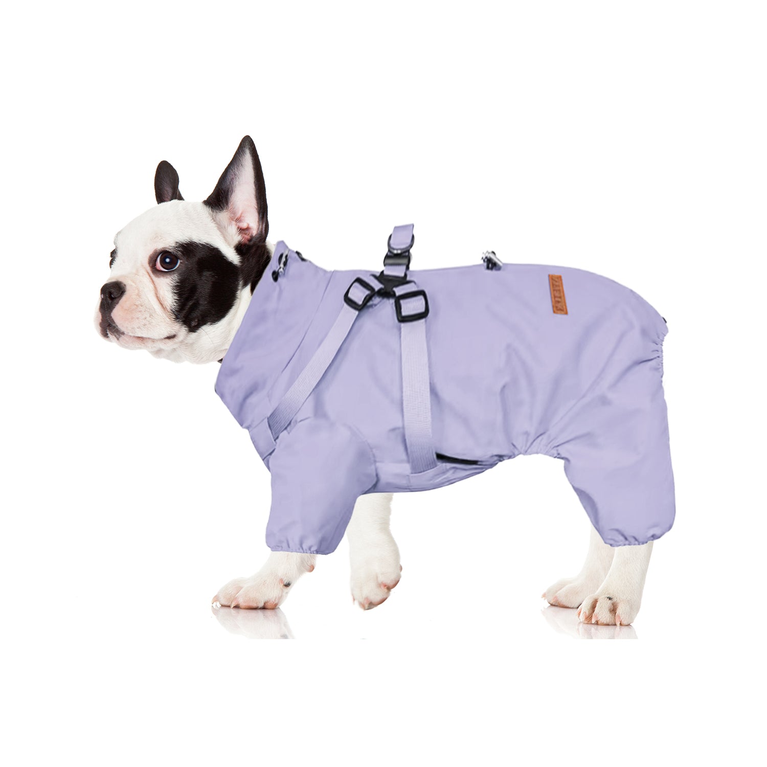 Vet-Approved Hydrohug Frenchie Raincoat With Built-in Harness Waterpr...