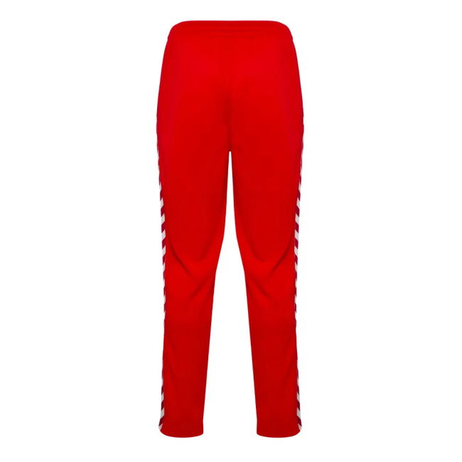 Adult Denmark Tracksuit 2024-2025