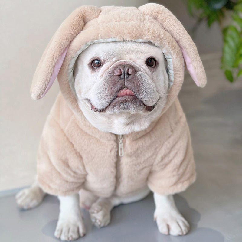 Winter Jacket Thickened Plush Hibernation Sweater For Frenchie Fans