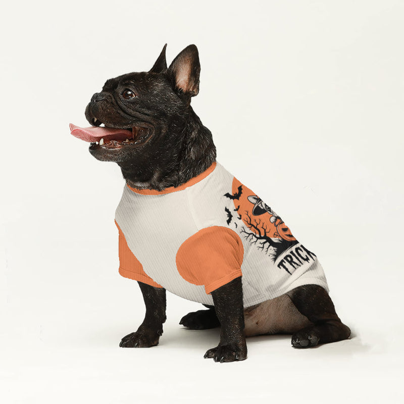 French Bulldog Laura Wool Sweater For Frenchies Soft Pet Apparel