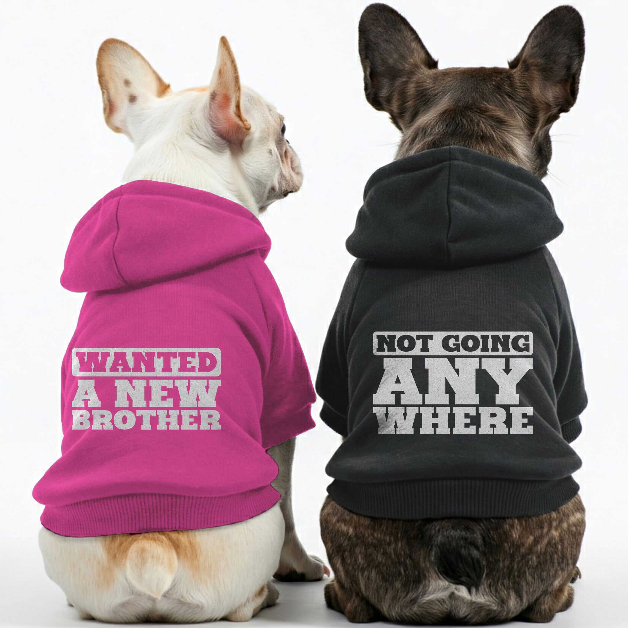 Hoodies – Stylish, Cozy & Personalized! Everyday Use | Trendy Style