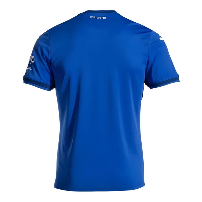 Hoffenheim 2024-2025 Home - Replica Match Quality Edition