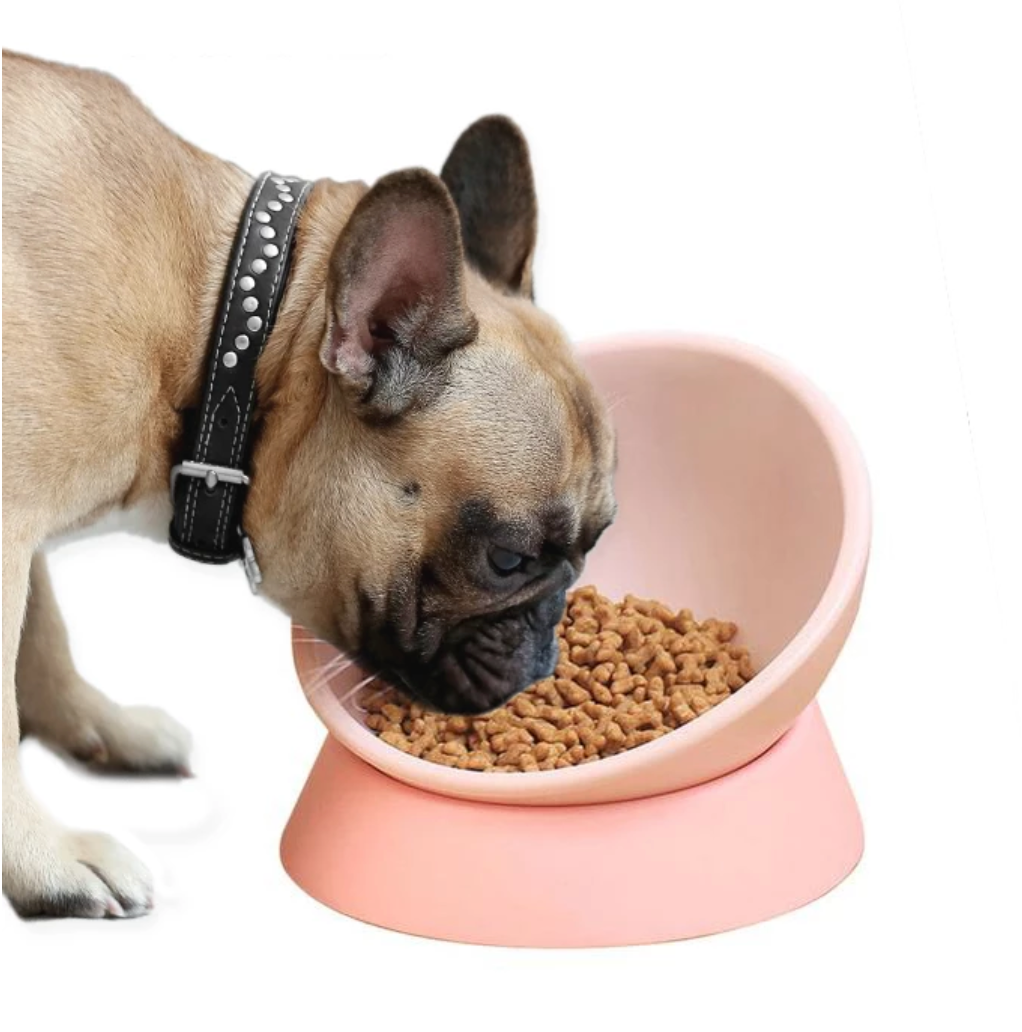 French Bulldog 360 Degree Frenchie Bowl Frenchie Pet Item