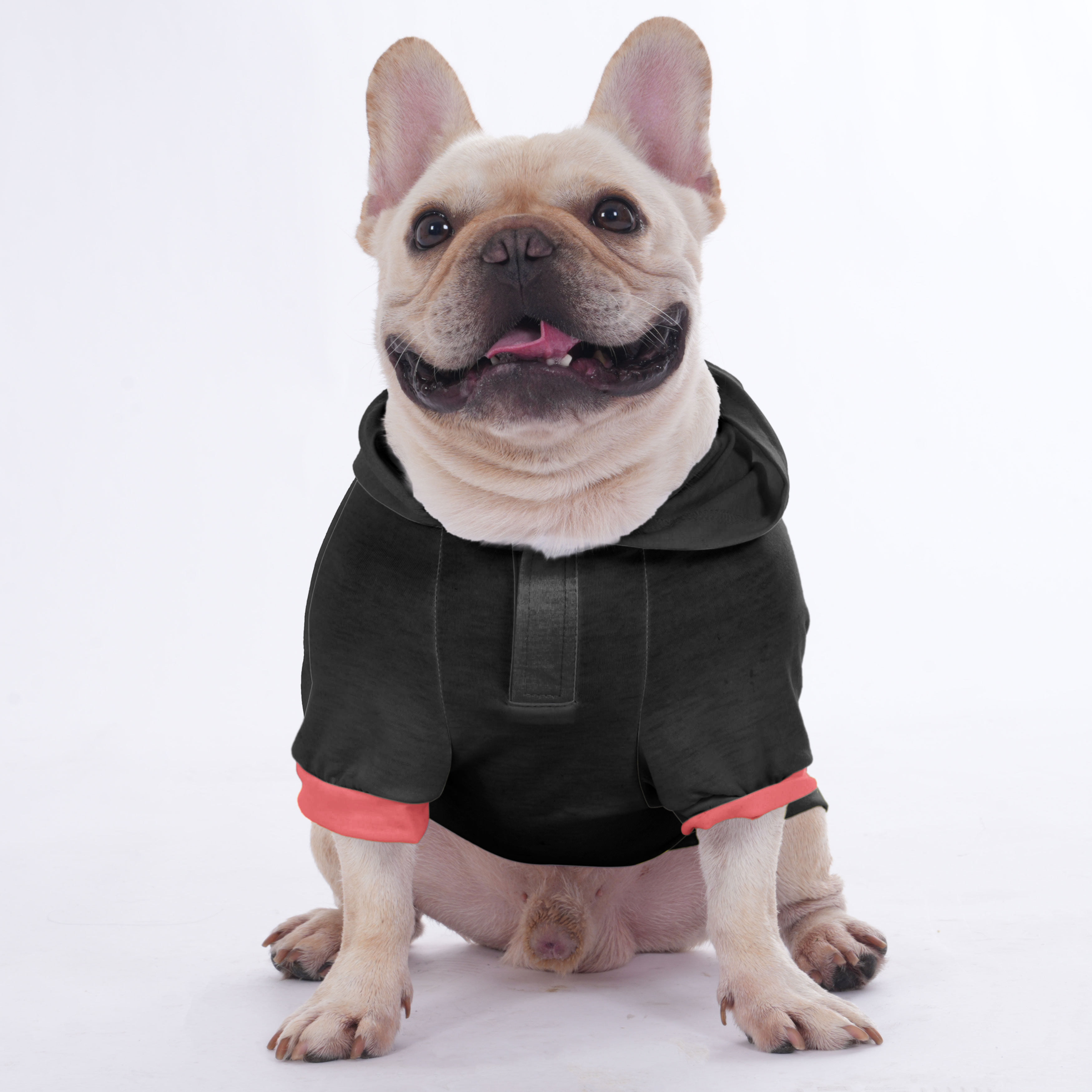 Lobo - Hoodies for French Bulldog | Frenchie Shop Original