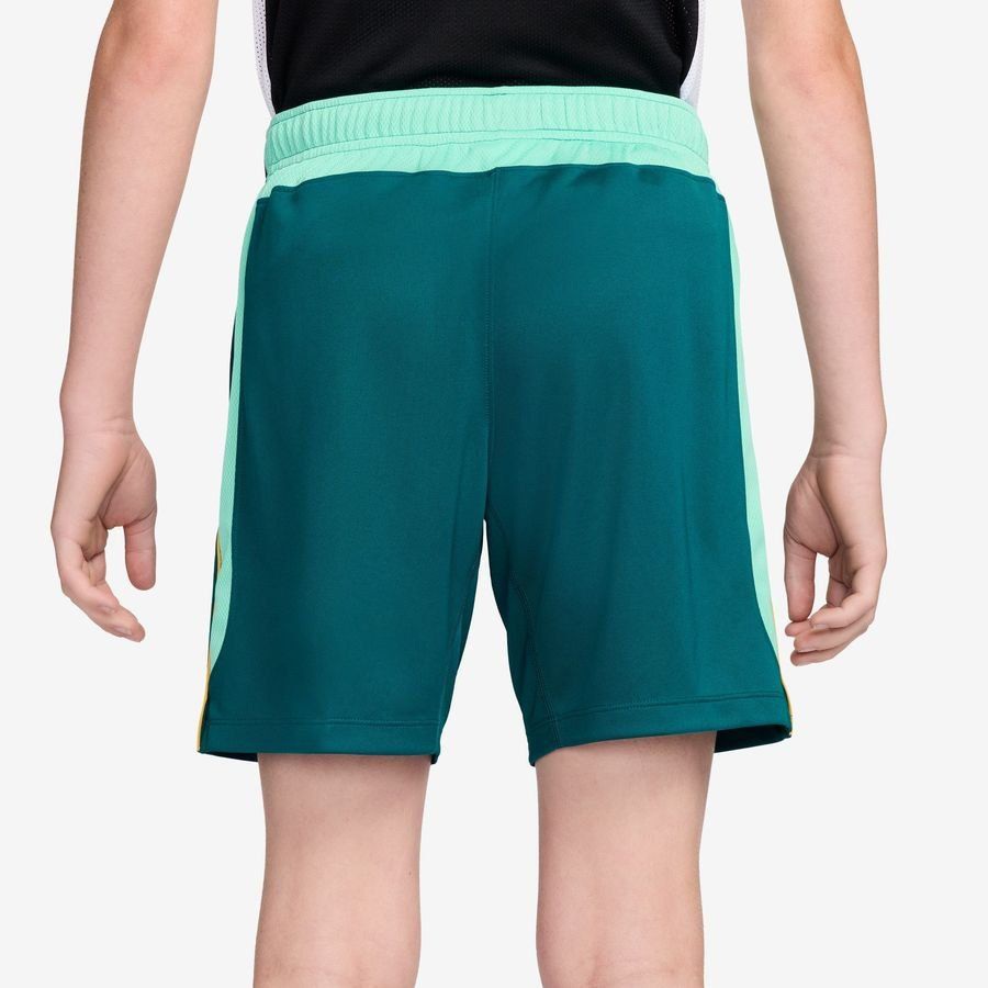 [EFKS] 2026 Brazil Shorts Dri FIT Academy Pro World Cup Geode Teal/Light Menta/Midwest