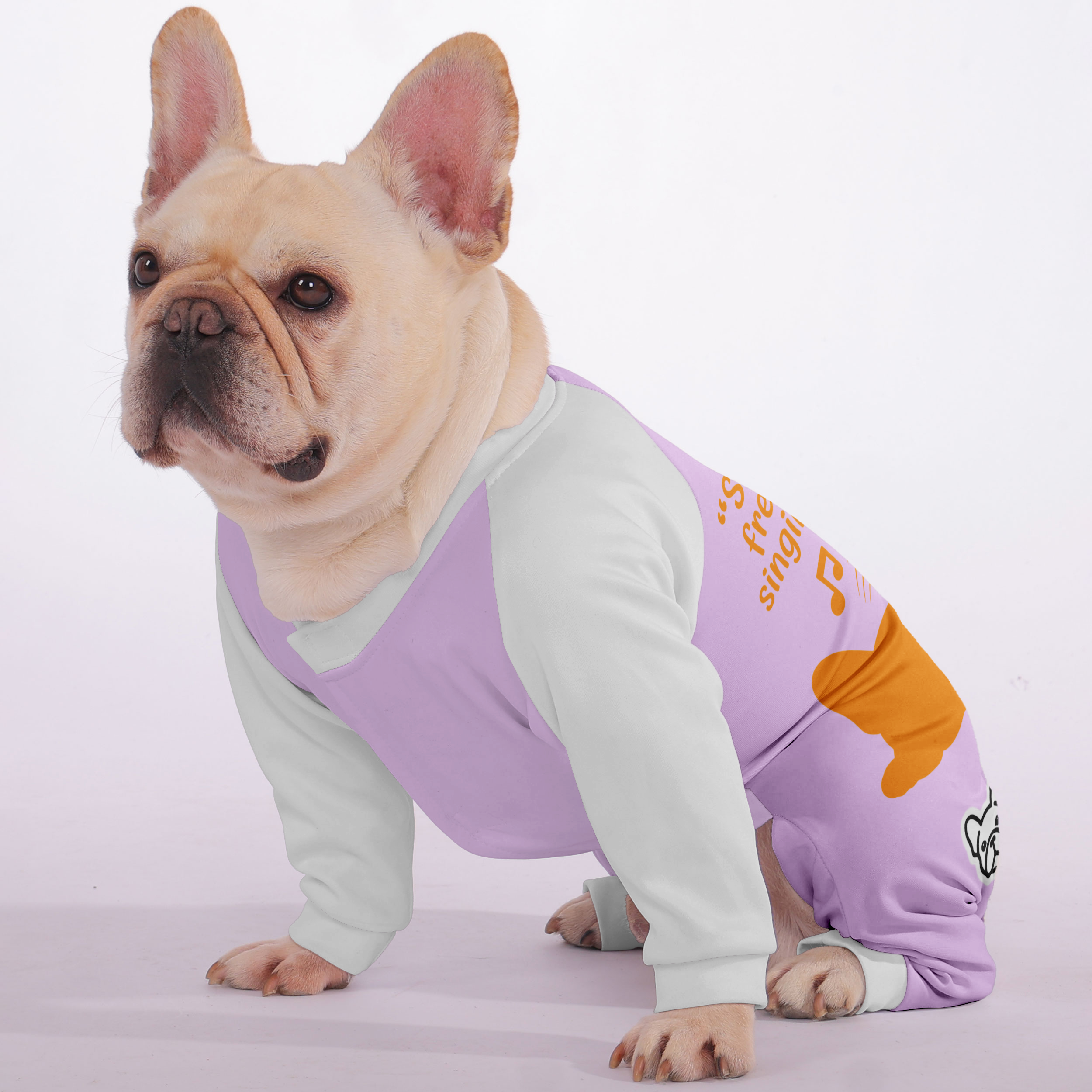Stylish Snoring Is Just A Frenchie’s Way Of Singing You A Lullaby - F...