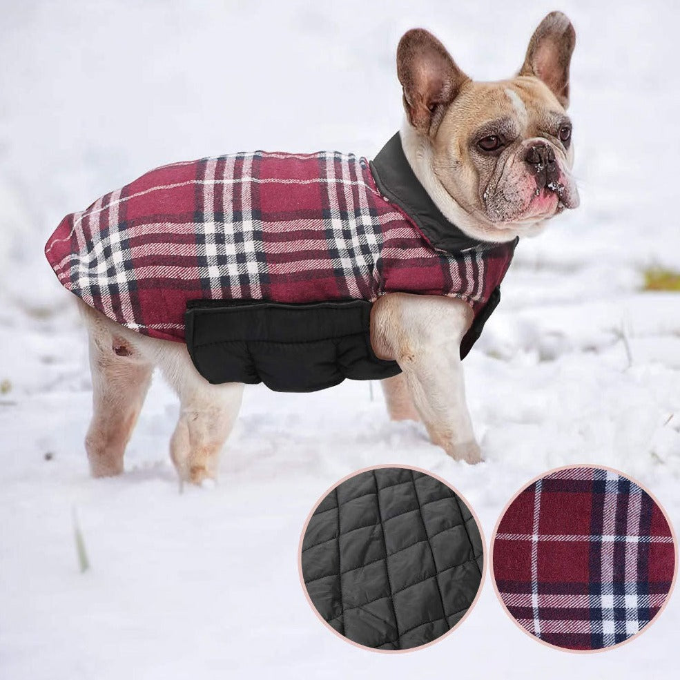 French Bulldog French Bulldog Jacket (ws18) Soft Frenchie Apparel