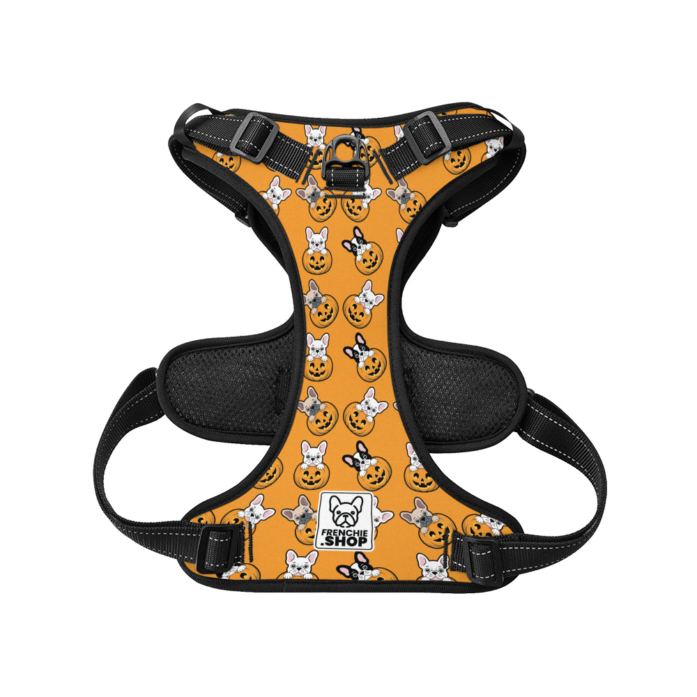 Bentley - No-Pull French Bulldog Dog Harness