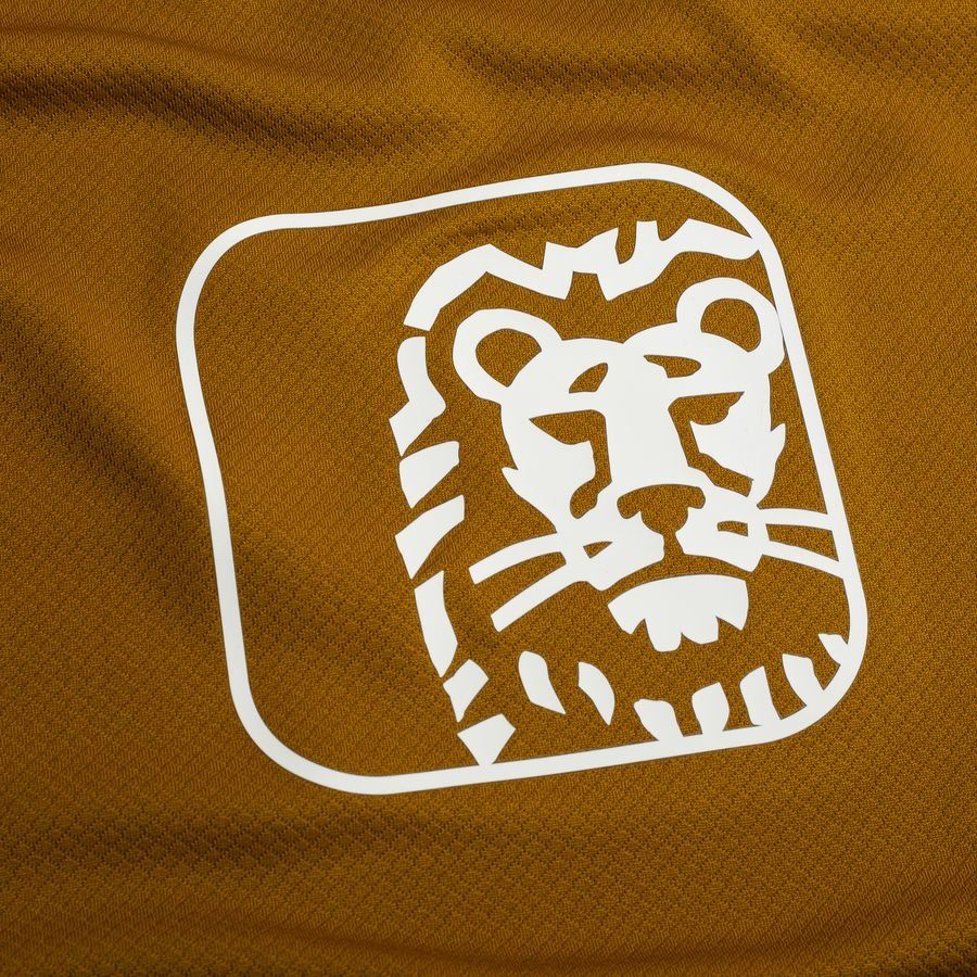 Holland Training T Shirt Dri Fit Strike Women's Euro 2025 Gold Suede/j