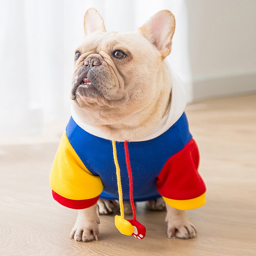 Pet-Lover Premium Super Hero French Bulldog Hoodie for Daily Life