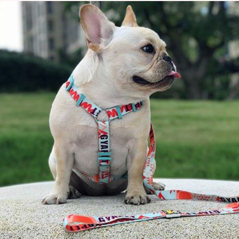 Elite French Bulldog No Pull Fashion Harness And Leash Set (WS0423)