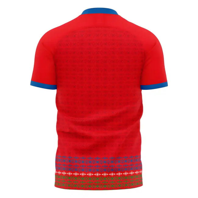 Gambia 2025-2026 Home Concept Football Kit (Libero)