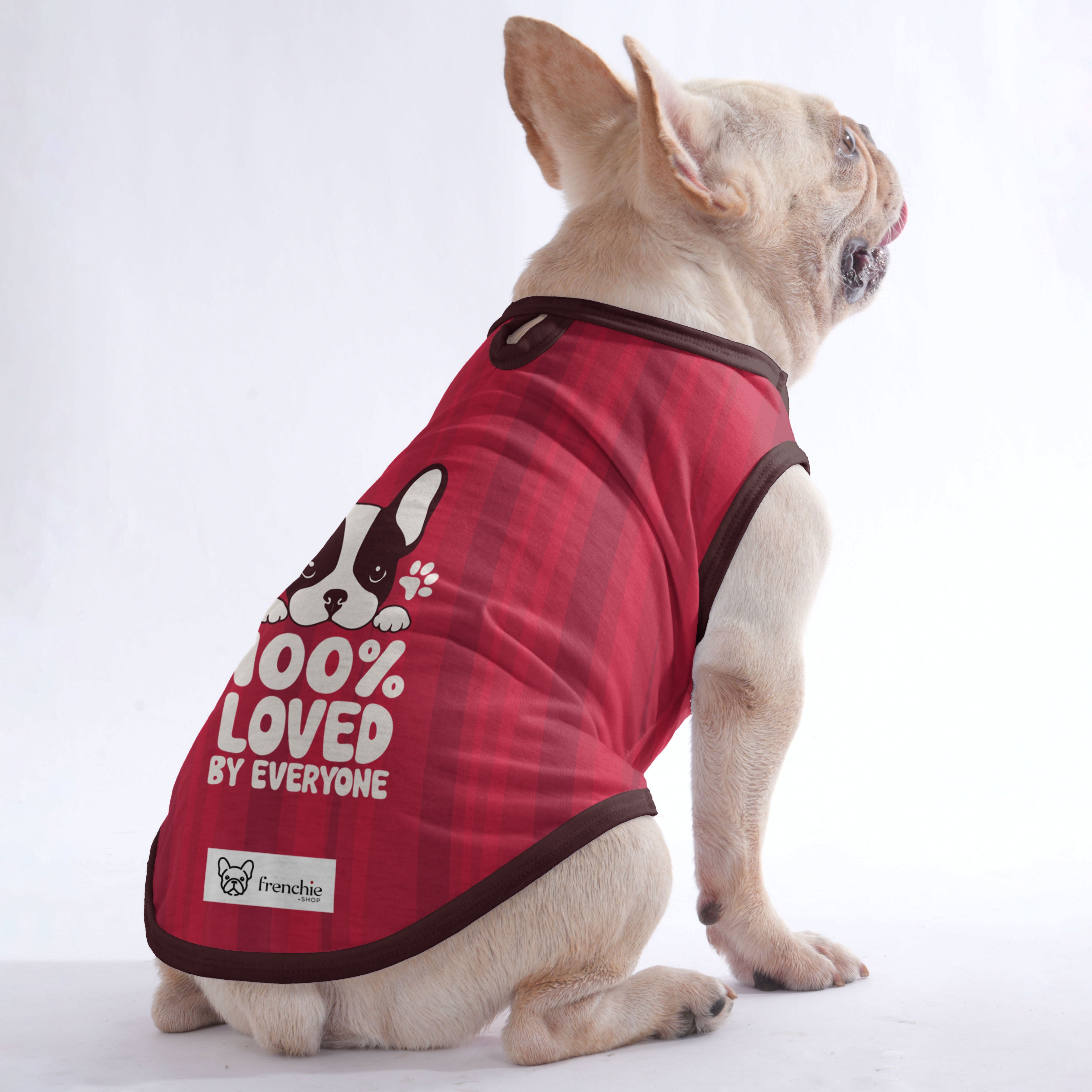 Linette - Shirt for Frenchies - Frenchie Shop Original