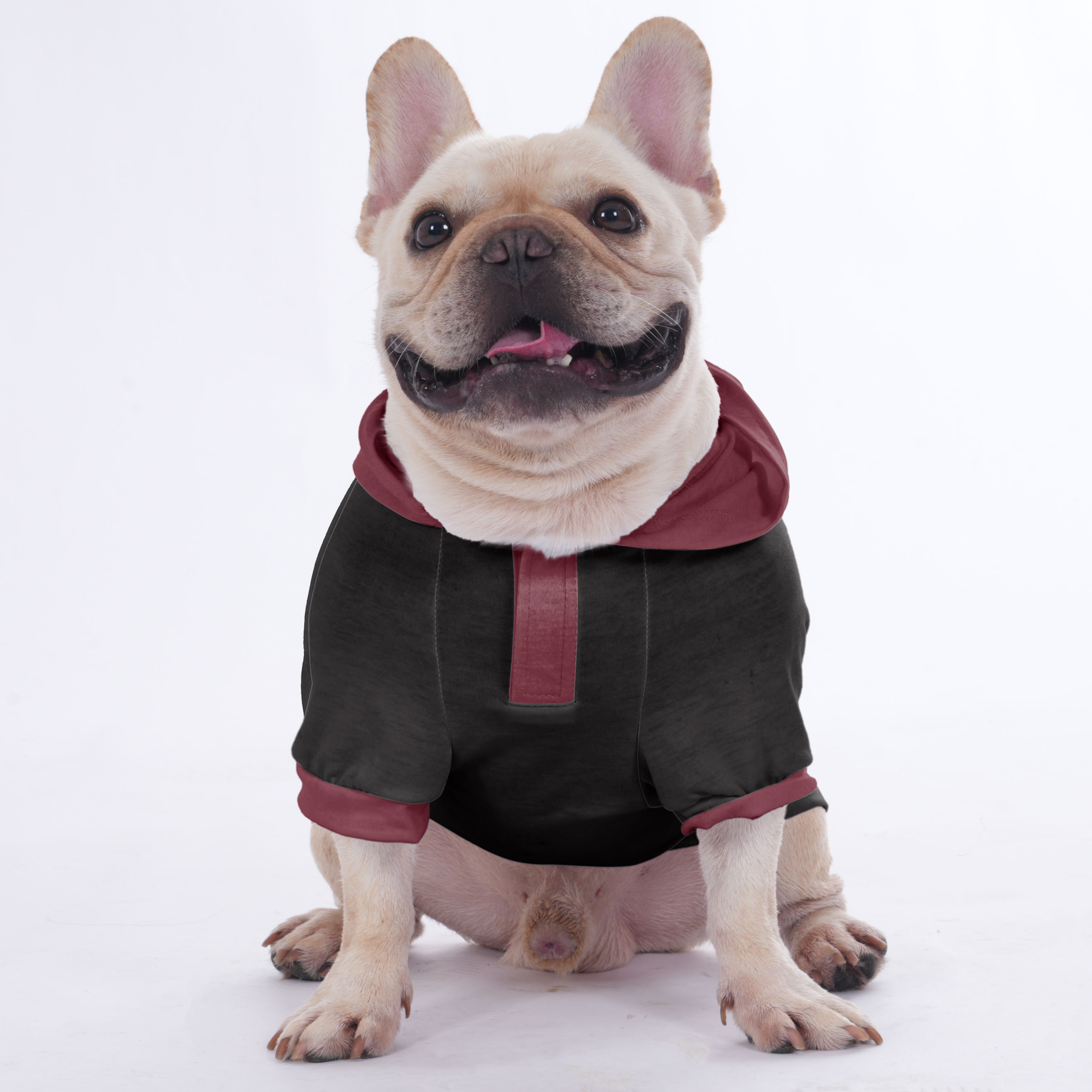 Cookie - Hoodies for French Bulldog | Frenchie Shop Original
