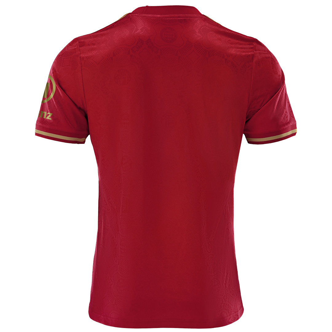 Premium Quality Bayern Munich 125th Anniversary Jersey 202425