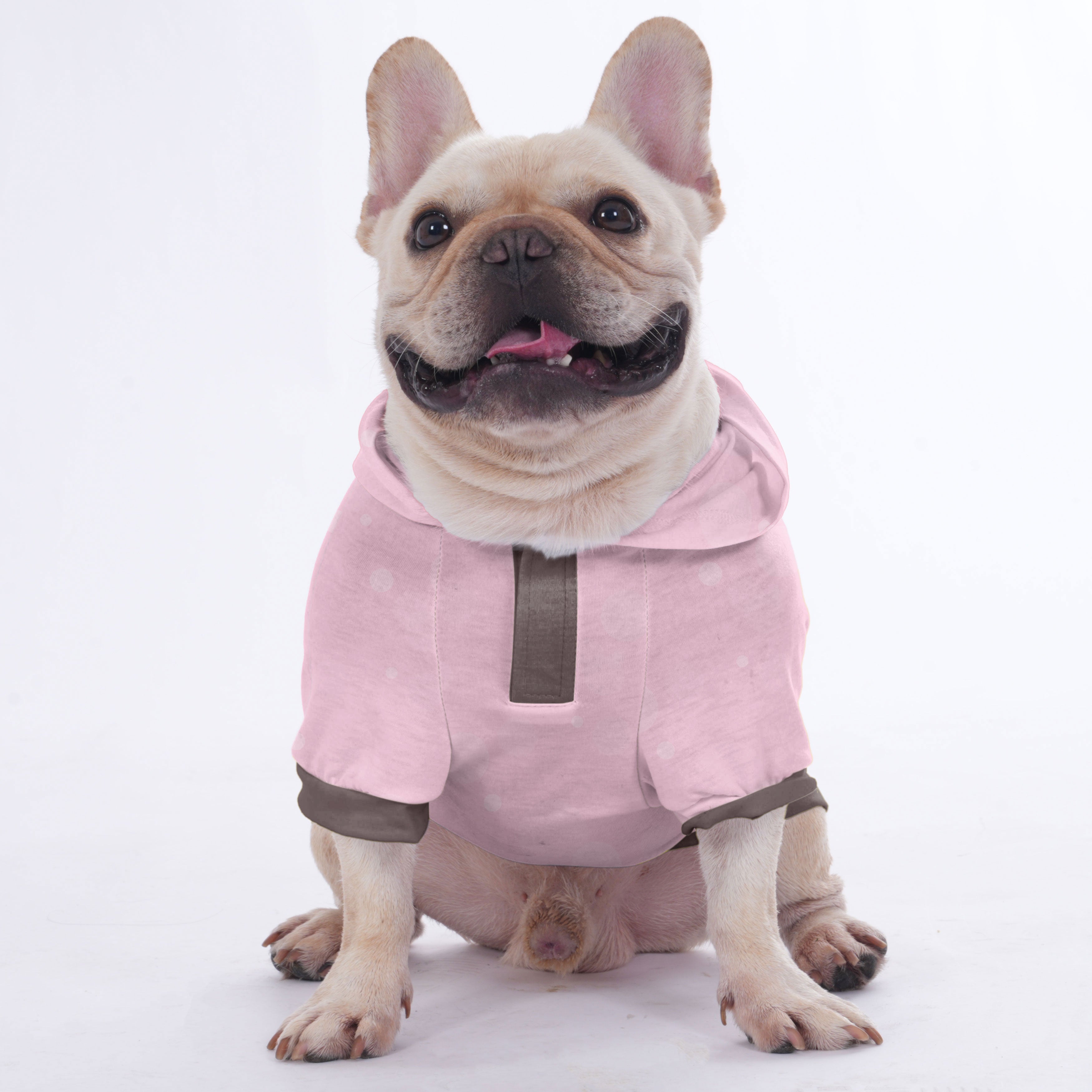 Feed me treats and call me handsome - Hoodies for French Bulldog | Frenchie Shop Original
