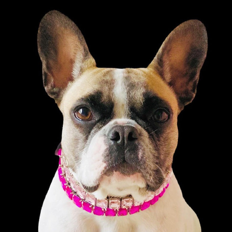 French Bulldog Diamondpaws Luxury Frenchie Collar Rhinestone Necklace