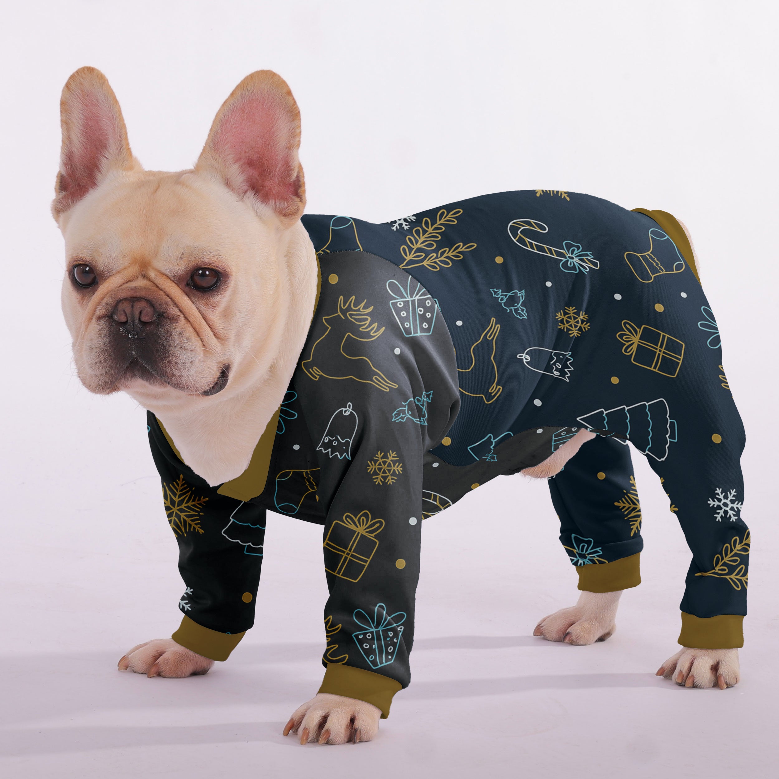 Echo - Frenchie Pajama