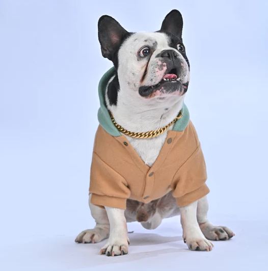 Wintersy™ - Everyday French Bulldog Soft Hoodie (wl03) Pet Owner Apparel