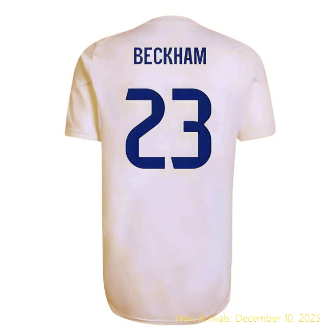 2025-2026 RM Real Madrid EU Training High-Quality Jersey (White)