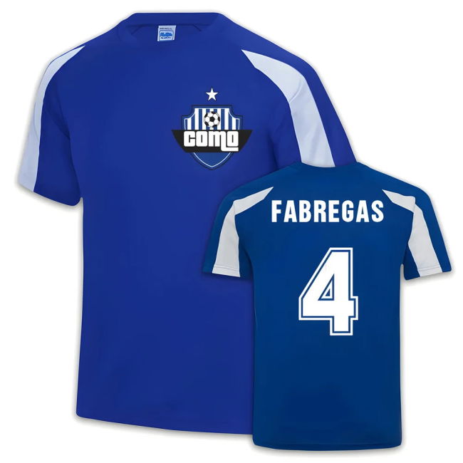 Football Team 2025-2026 Training - High Quality Fan Edition Edition