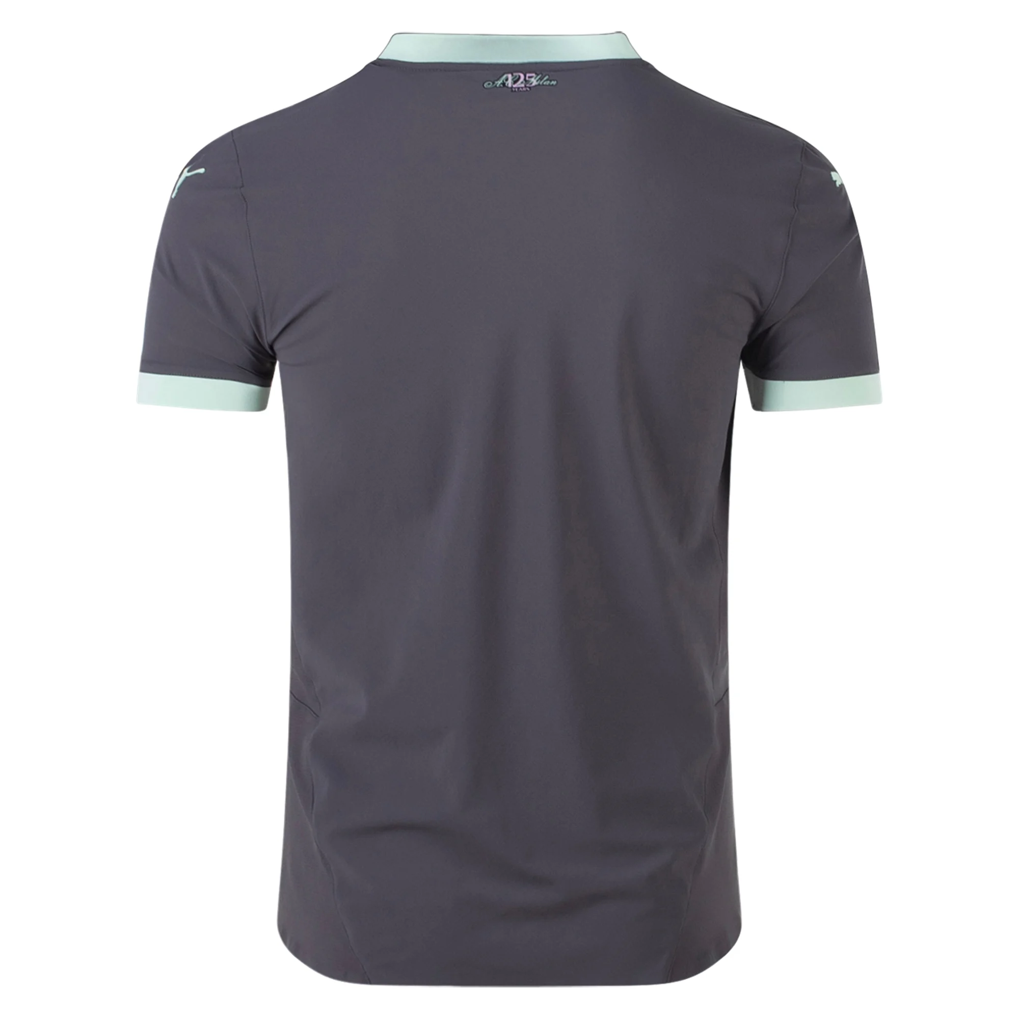 AC Milan Mint) 2024-2025 UCL Third Jersey – Authentic Shirt