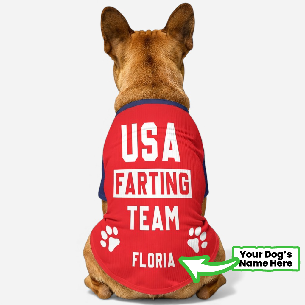 French Bulldog Ivonne Personalized Wool Sweater For Frenchies Warm Dog Outfit