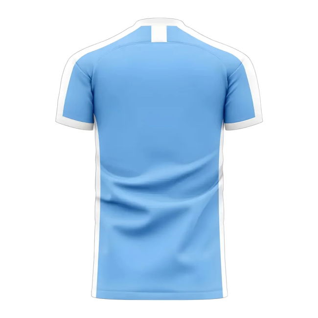 Collector'S-Item Djibouti 2025-2026 Home Concept Football Kit (Libero)