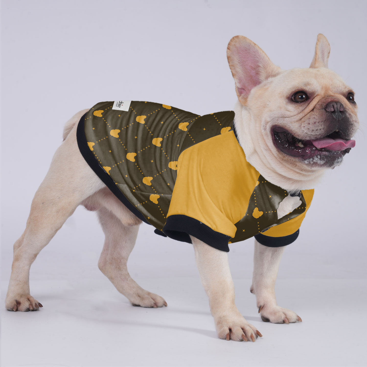 Lincoln - Breed-specific Jacket For French Bulldog For French Bulldogs