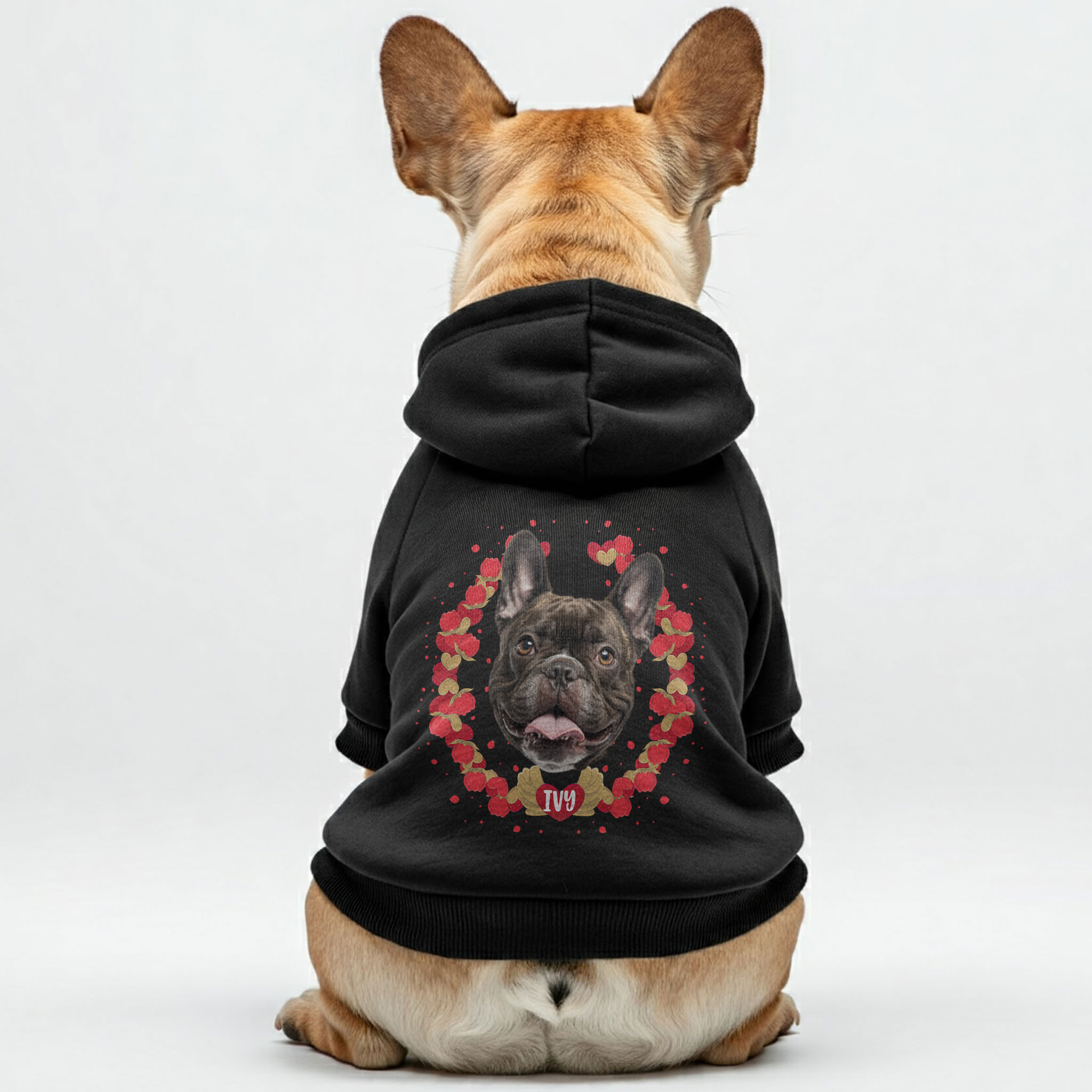Frenchie’s Photo – Stylish, Cozy, And Premium 100% Cotton For Dog Lovers