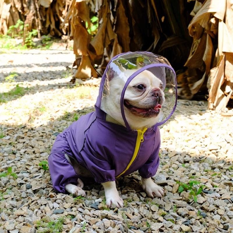 French Bulldog Rainpaw Frenchie Hooded Raincoat – Waterproof Full Body