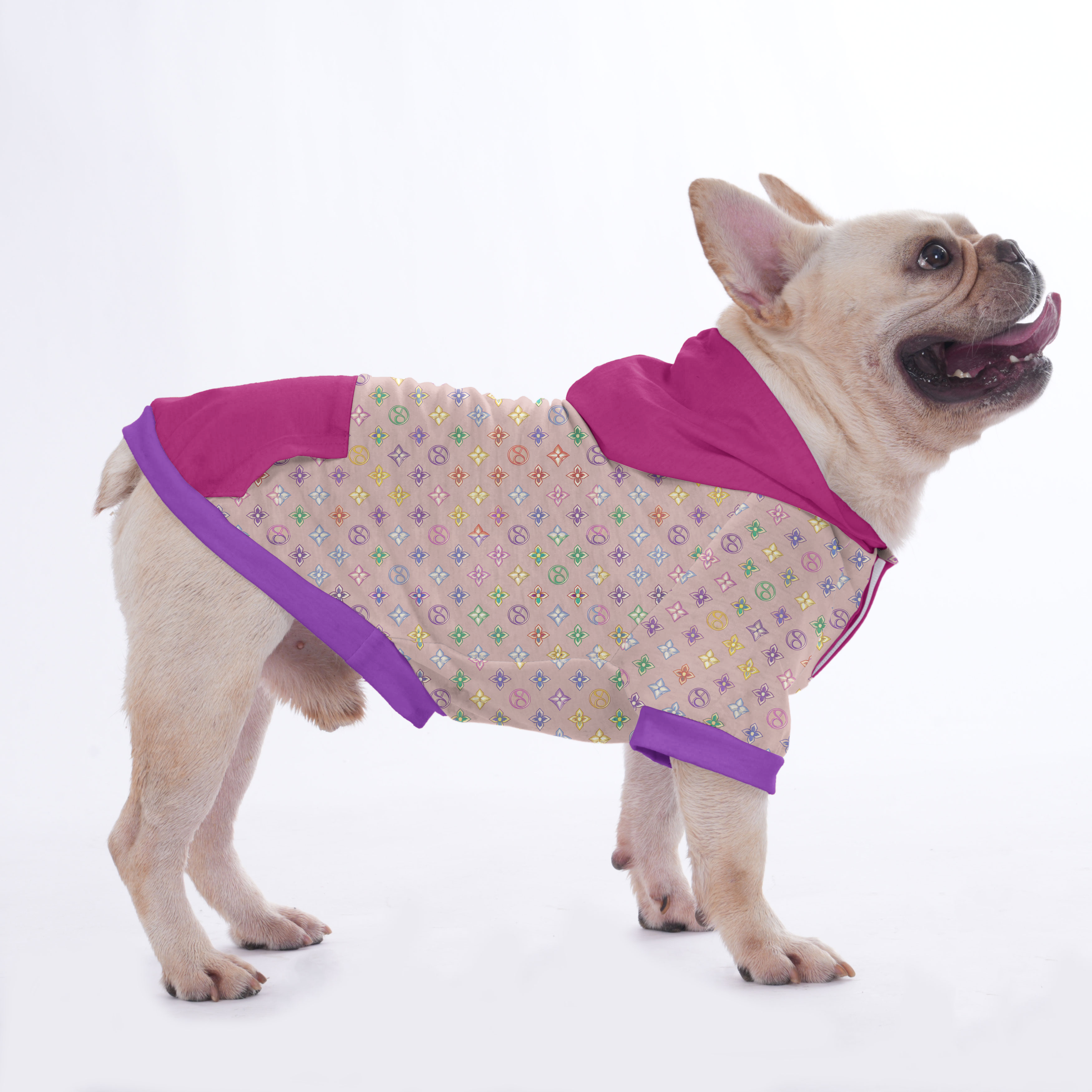 Skye - Premium Hoodies For French Bulldog | Frenchie Shop Original Pet Owner Apparel