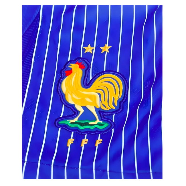 France Away Shorts 2024-2025 edition (Junior