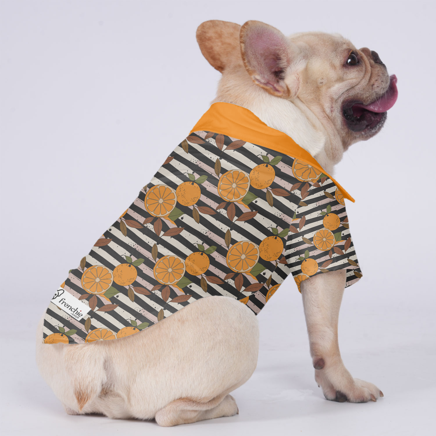 Frenchie-Fan Bruno - Hawaiian Shirt For Frenchies for Everyday Wear