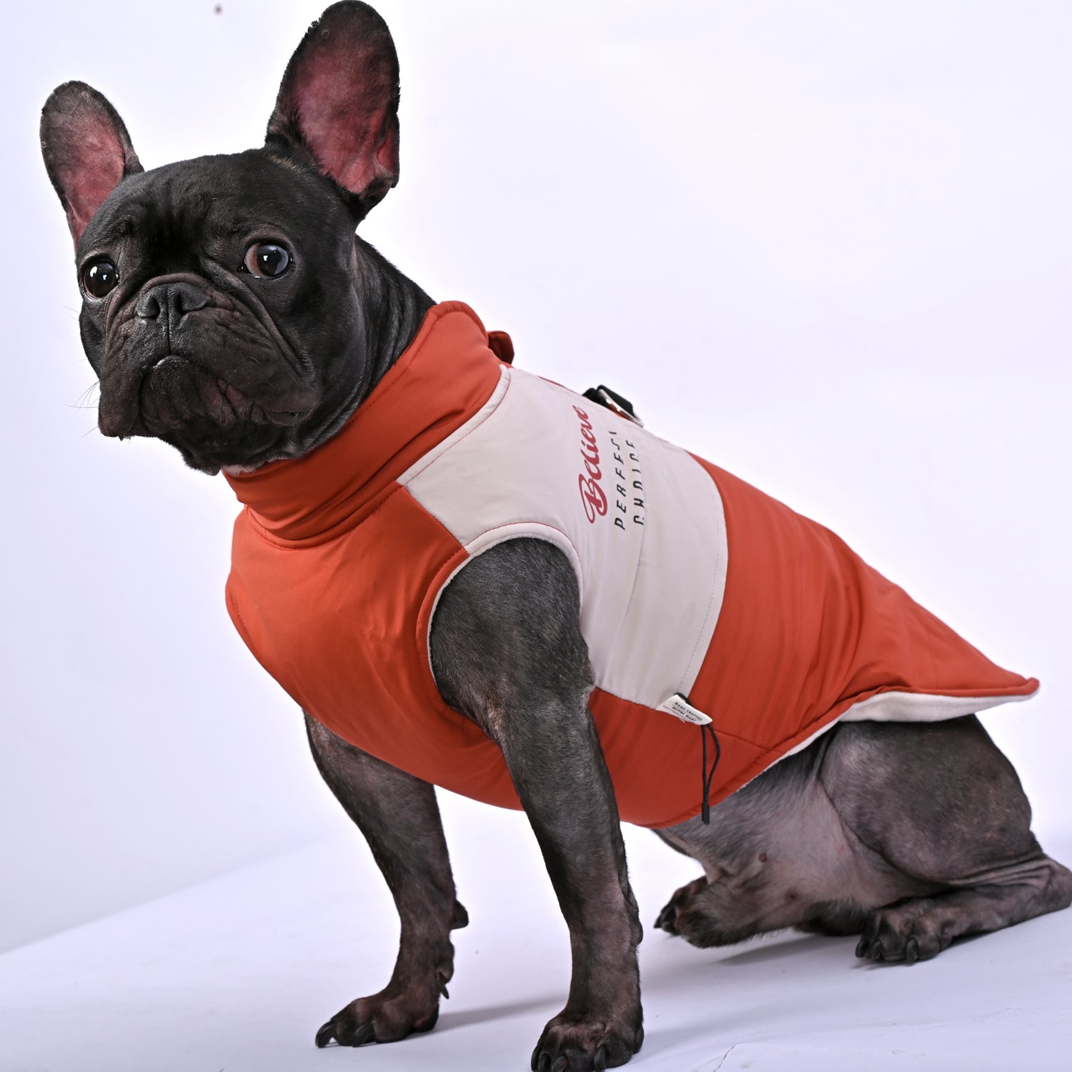 Winter Jacket With Harness Set V1 For French Bulldogs | Safe For Paws