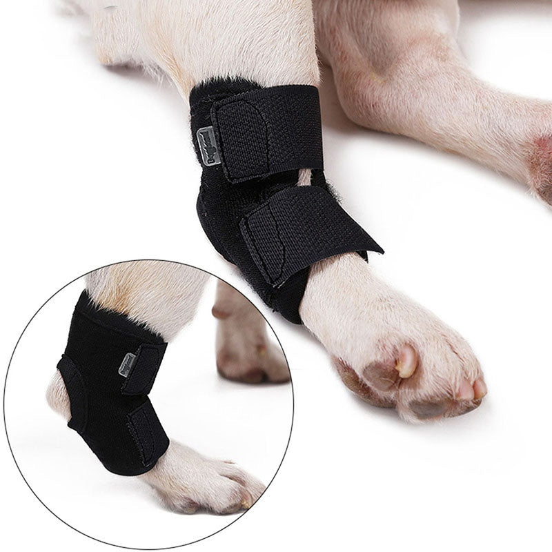 French Bulldog French Bulldog Elbow Wrap Wounds Supportive (wk04) Durable Dog Item