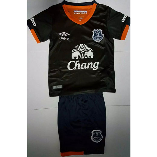 Advanced Fabric Kids Everton Away 201617 Soccer Kits ShirtShorts