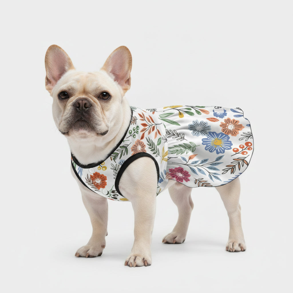French Bulldog Gianna French Bulldog Dresses For Females Durable Dog Item