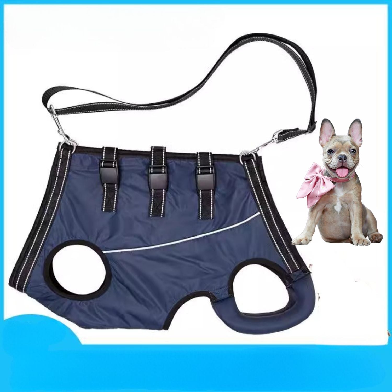 PawLift Frenchie Full Body Lift Harness – Injury and Hip Support