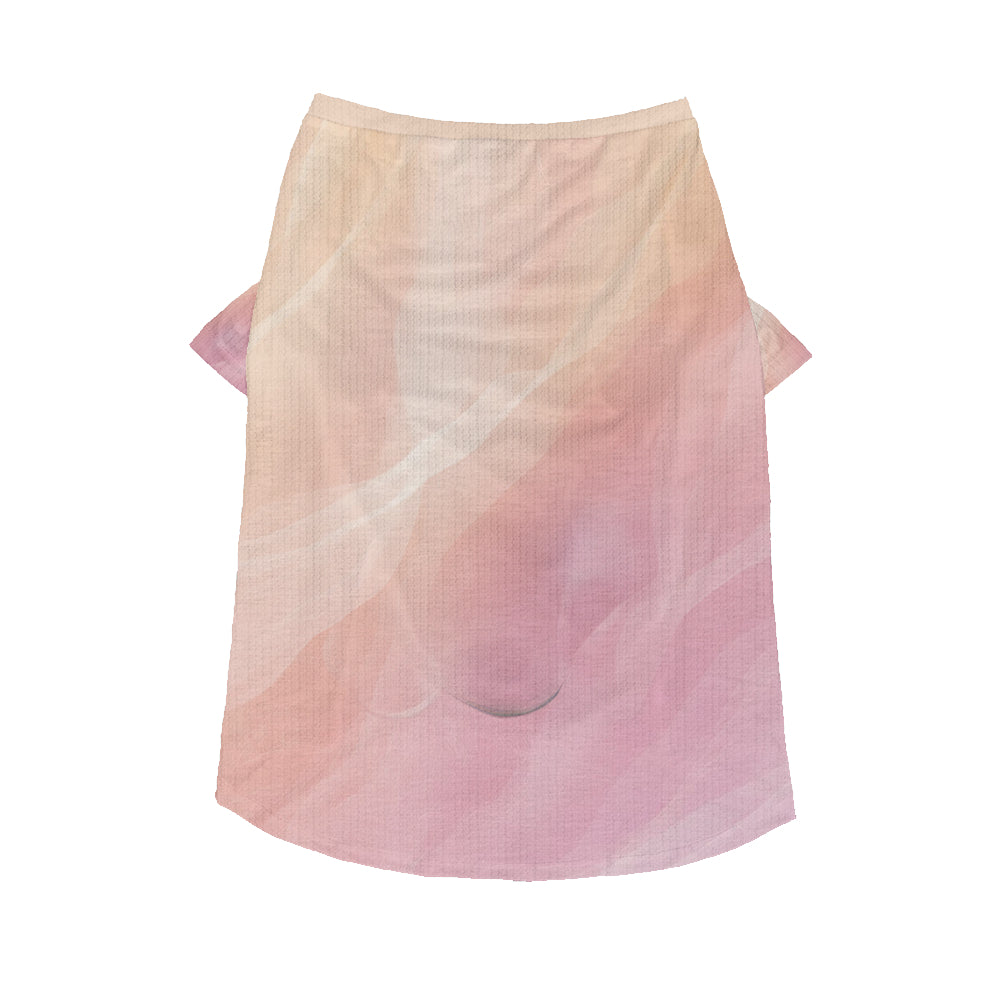 Trendy Kai - Wool Sweater For Frenchies for Pet Enthusiasts Premium